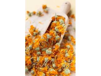 Verkoop van Calendula in bulk van de fabrikant
