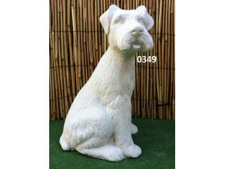 Schotse terrier / schnautzer hond zit