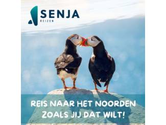 Reis naar het Noorden zoals jij dat wilt.
