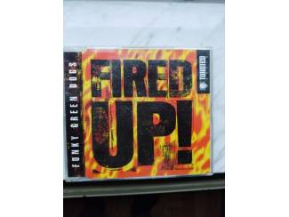 FUNKY GREEN DOGS: "Fired up!"