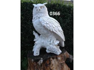 Uil op boomstam. nr 0366.