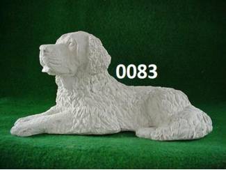 Hond Golden Retriever. nr 0083.