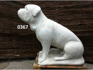 Bordo dog hond. nr 0367.