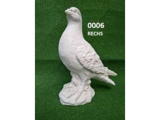 Duif. nr 0006