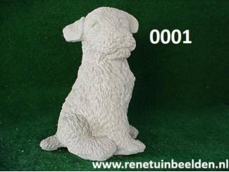 Hond. nr 0001