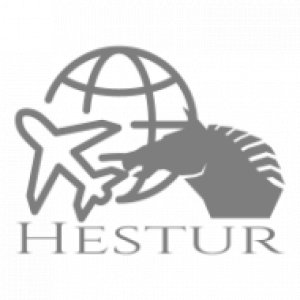 Hestur Transport